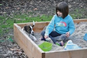puppy sandbox