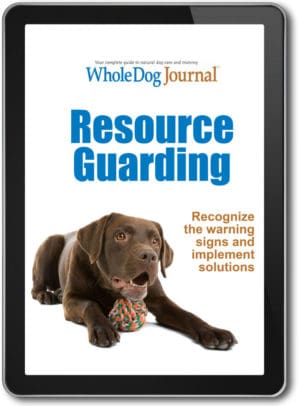 Resource Guarding eBook