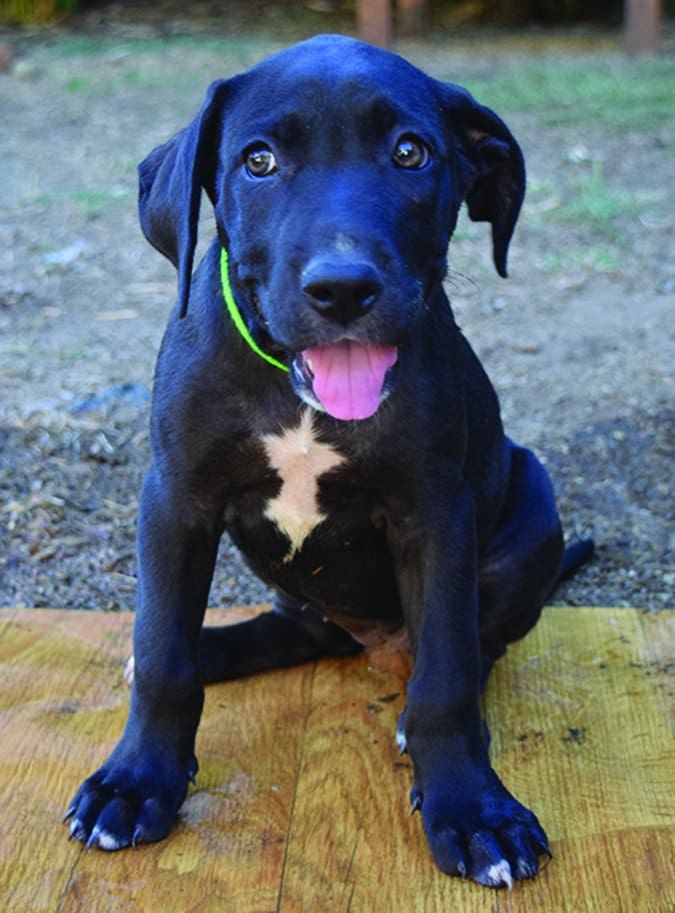 p1aqsk5pi61q3ub951f7v1c4k1luv7