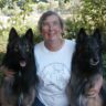 Dr. Debra M. Eldredge, DVM
