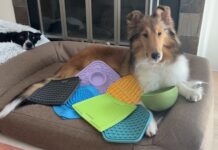 The Best Dog Lick Mats What are the best dog lick mats? We tested six of the most popular dog lick mats to find out.