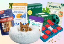 The Best Black Friday Deals for Dogs 2025 Dog black Friday deals offer you the chance to save on the dog gear you use every day.