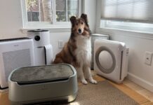 The Best Pet Air Purifiers Pet air purifiers can help with pet dander and dust in your home.