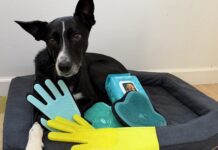 The Best Dog Grooming Gloves Dog grooming gloves are a quick and easy way to groom your dog during bath time.