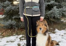The best dog leashes combine comfort, ease of use, and durability.