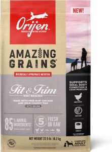 Orijen Amazing Grains Fit and Trim dog food kibble.