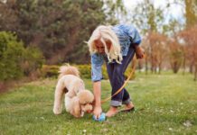 How Often Do Dogs Poop? A dog should poop multiple times a day, but the exact amount can vary due to diet, exercise and health.