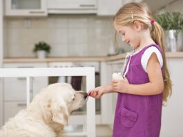 Is Yogurt Good for Dogs? Dog's can eat yogurt and it might be healthy for them.