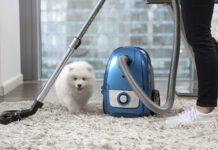 The best vacuums for dog hair combine convenience, ease of use, and functionality into a handy package,