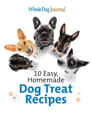 10 Easy, Homemade Dog Treat Recipes