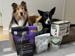 The Best Dog Dental Chews The best dog dental chews provide oral hygiene and a treat at the same time.