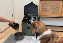 The best dog food containers provide a clean, dry, and resealable place to stor dog food.