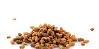 Find the best dry dog food with our yearly dry dog food reviews.