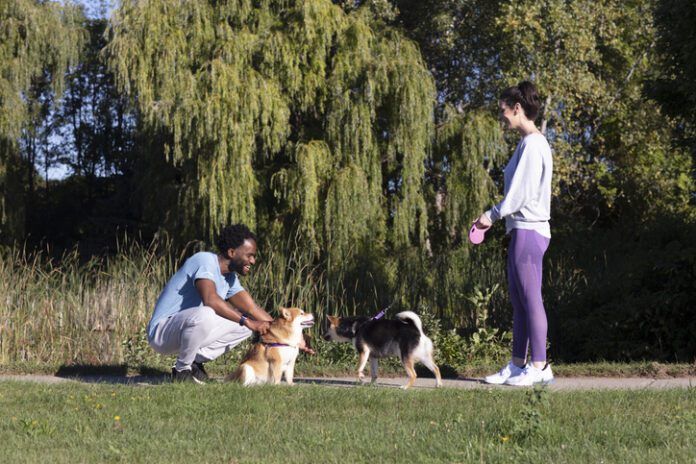 Dogs and owners meet and greet while on a walk can dogs be racist