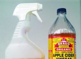 apple cider vinegar for dogs