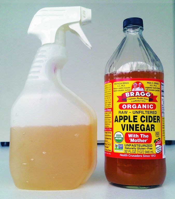apple cider vinegar for dogs
