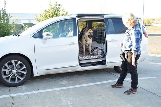 Training a dog to wait patiently.