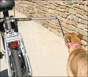 Biking with Your Dog
