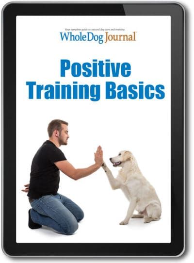 Positive Training Basics