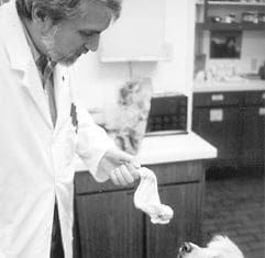 A raw dog food diet is purported to have many benefits.