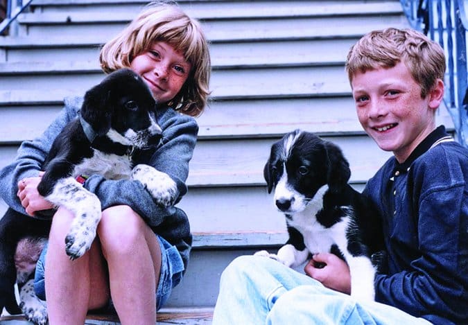 Adopting two puppies at once can lead to troubles socializing them.