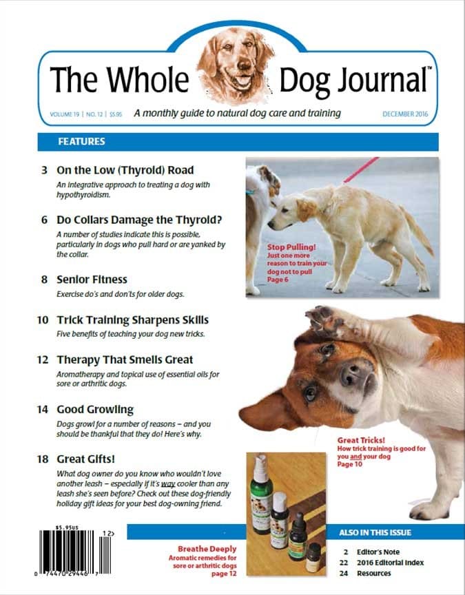 Whole Dog Journal