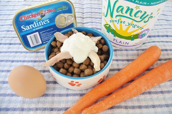 Improving Your Dog's Diet