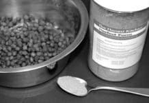 Food additives like enzymes and probiotics can ease canine digestion.