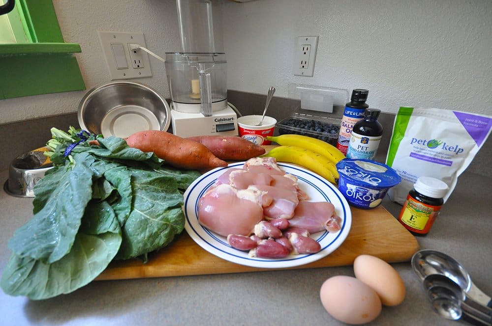 Making Homemade Dog Food