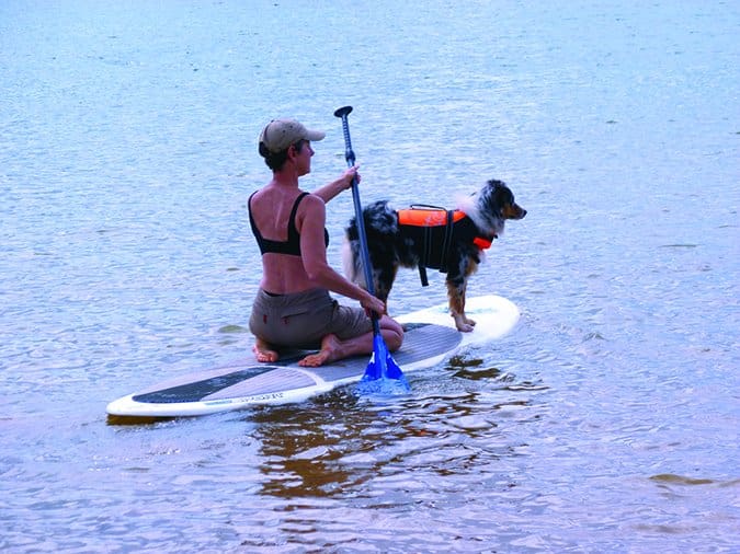 paddleboarding with a dog
