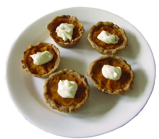 pumpkin pie for dogs recipe