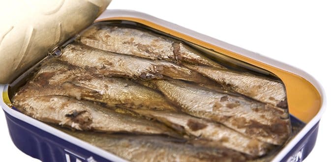 sardines