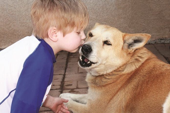 kidsanddogs Dog Bites