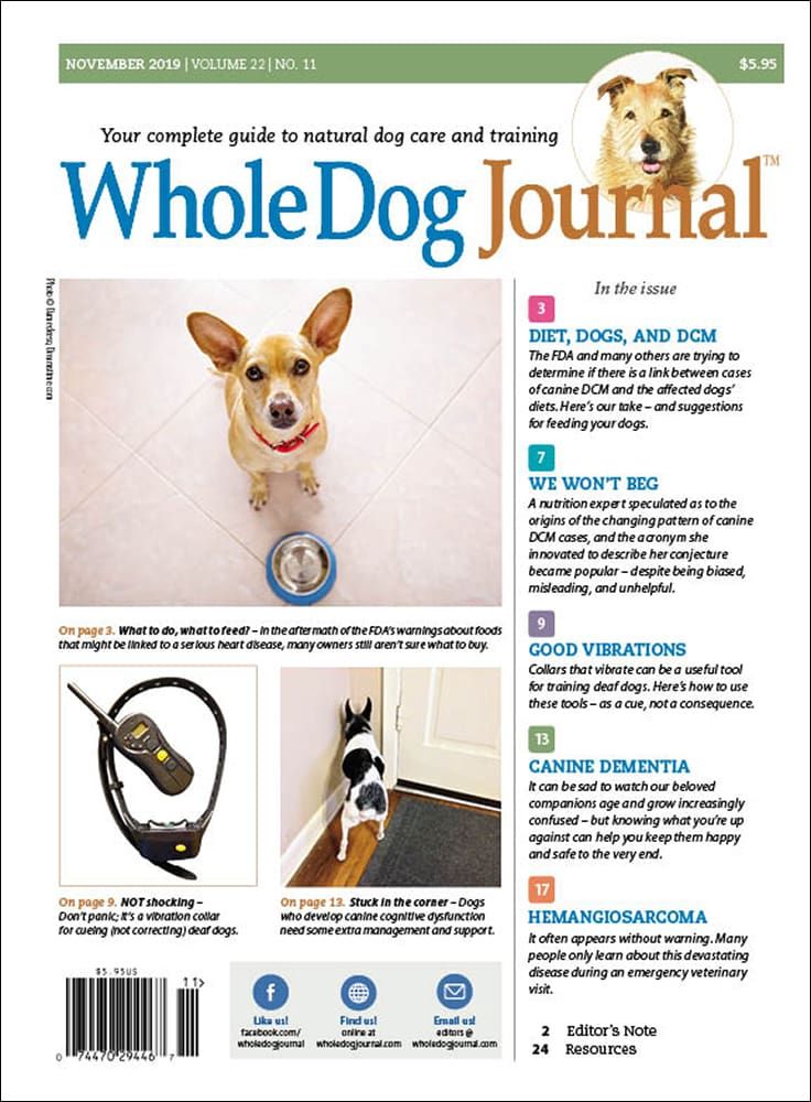 Journal Doogs Download the Full November 2019 Issue - Whole Dog Journal