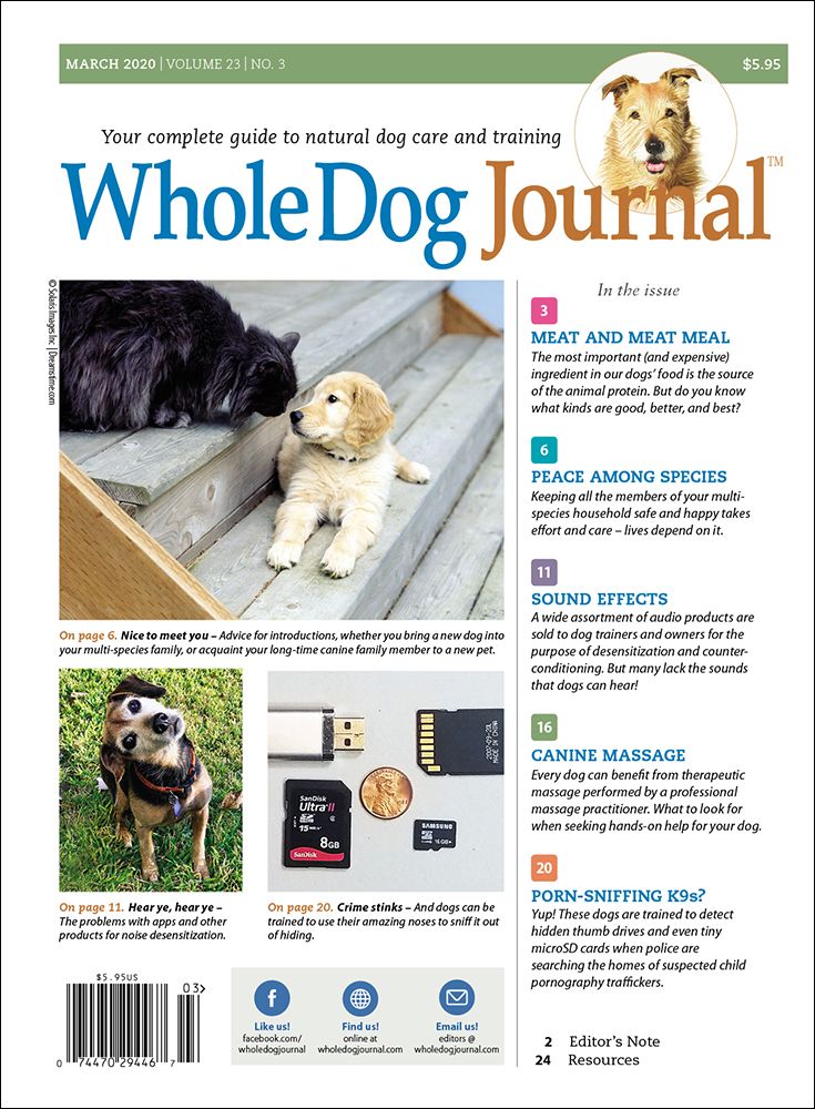 Journal Doogs Download the Full March 2020 Issue - Whole Dog Journal