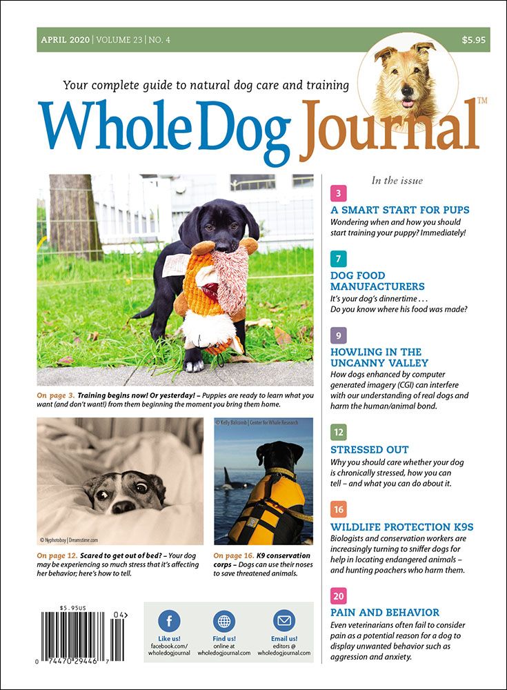 Journal Doogs Download The Full April 2020 Issue PDF - Whole Dog Journal
