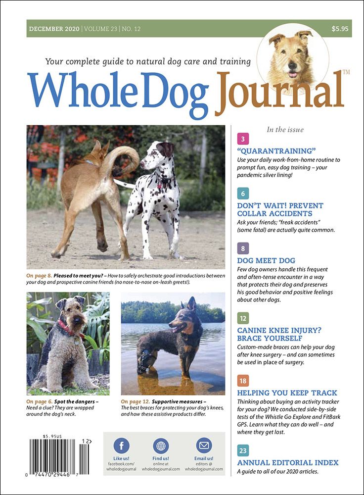 Journal Doogs Download The Full December 2020 Issue PDF - Whole Dog Journal