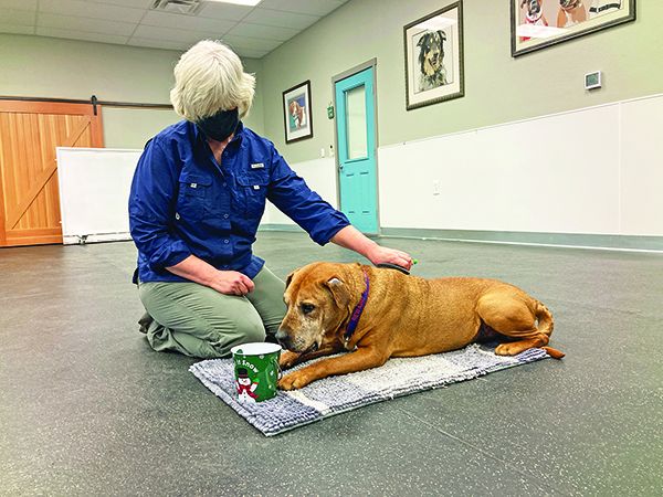 Cooperative care for dogs
