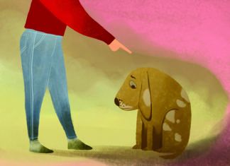 Punishment vs. Interruption: Managing Your Dog’s Behavior Without Fear How do you discipline a dog without causing harm or anxiety?
