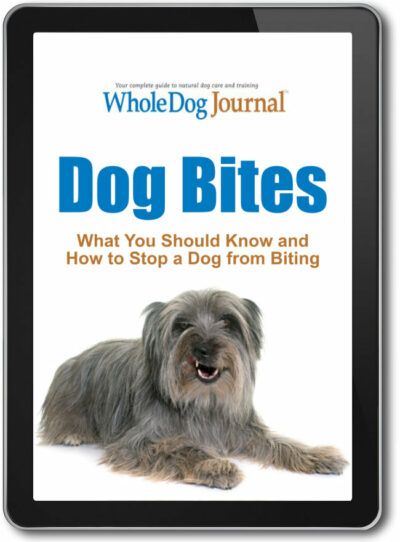 Dog Bites