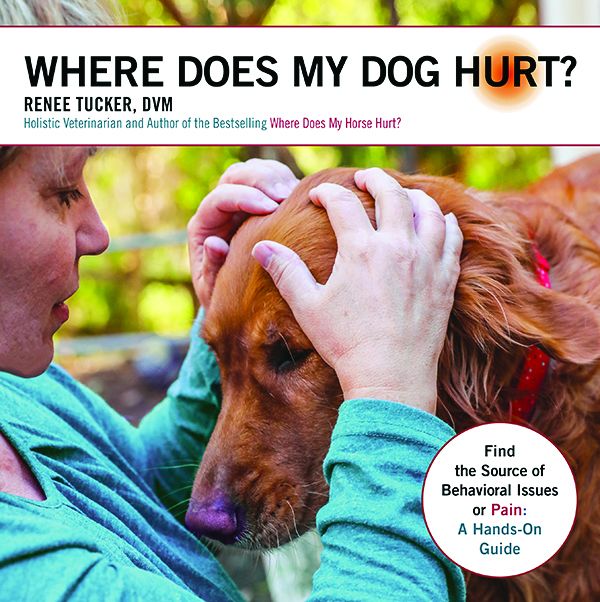 where does my dog hurt book cover