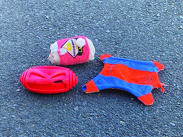 how to wash dog toys