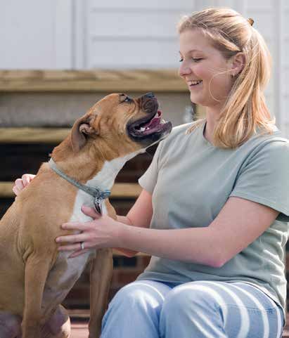 does your dog like to be pet