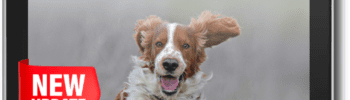 The Recall eBook from Whole Dog Journal