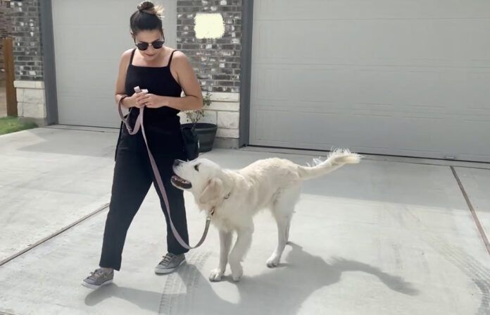 leave-it-walking woman with dog on leash