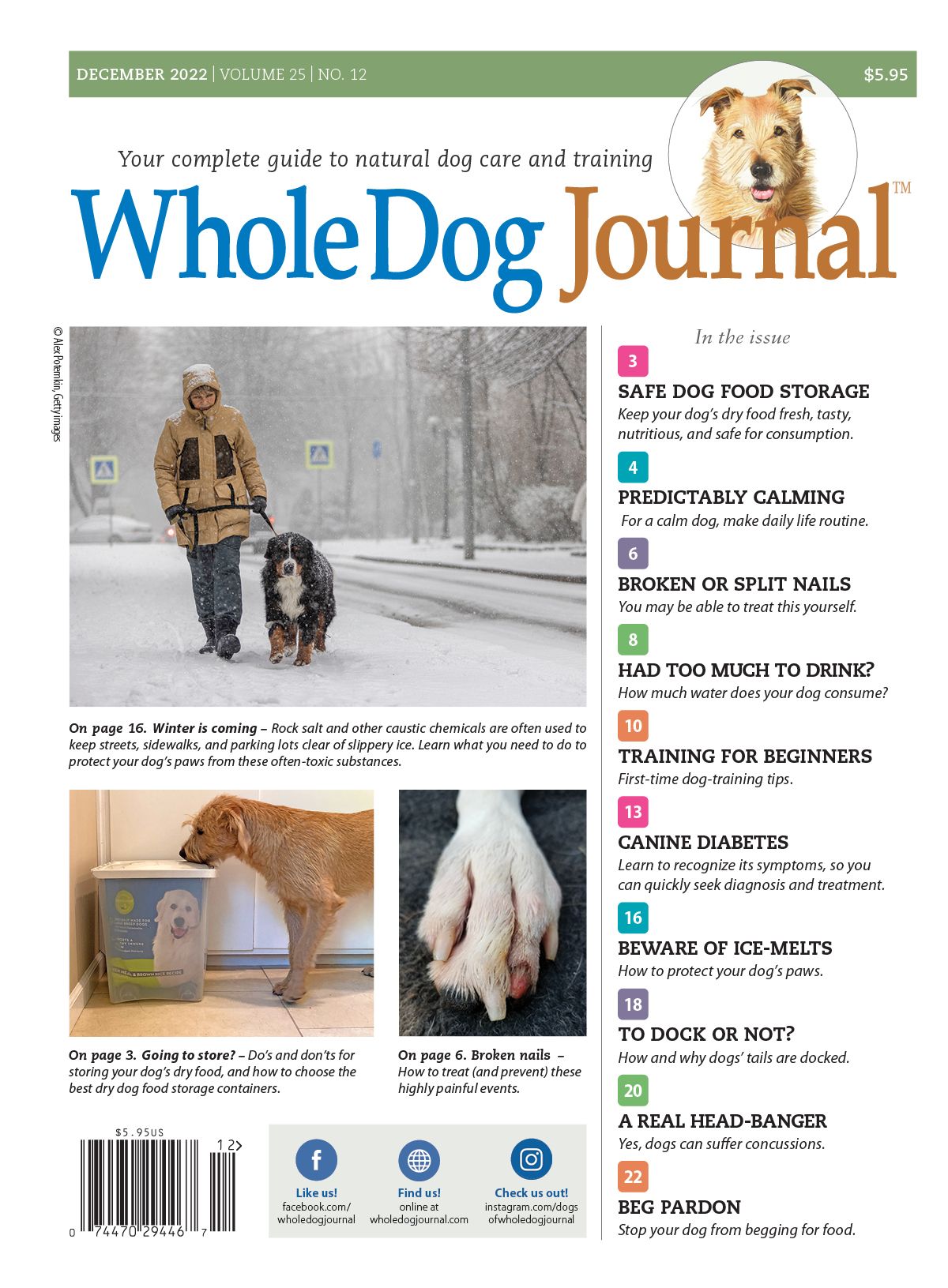 Download The Full December 2022 Issue PDF - Whole Dog Journal