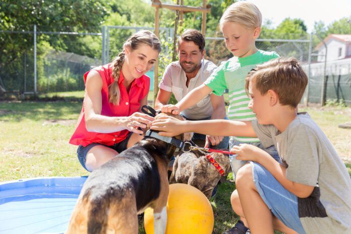 Family taking home a dog from the animal shelter giving new home Family taking home a dog from the animal shelter giving new home