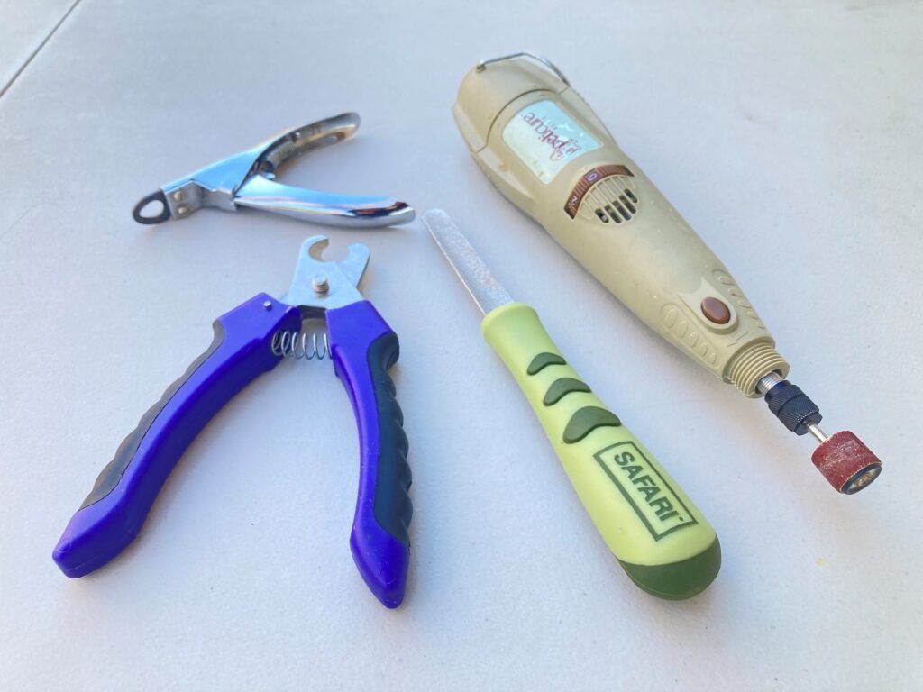 Dog Nail Trimming Thoughts - Whole Dog Journal