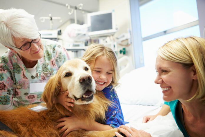 Young girl in hospital hugging therapy dog Young girl in hospital hugging therapy dog
