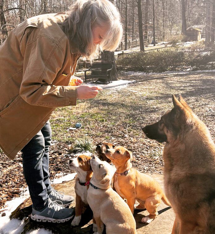 kathy_puppies